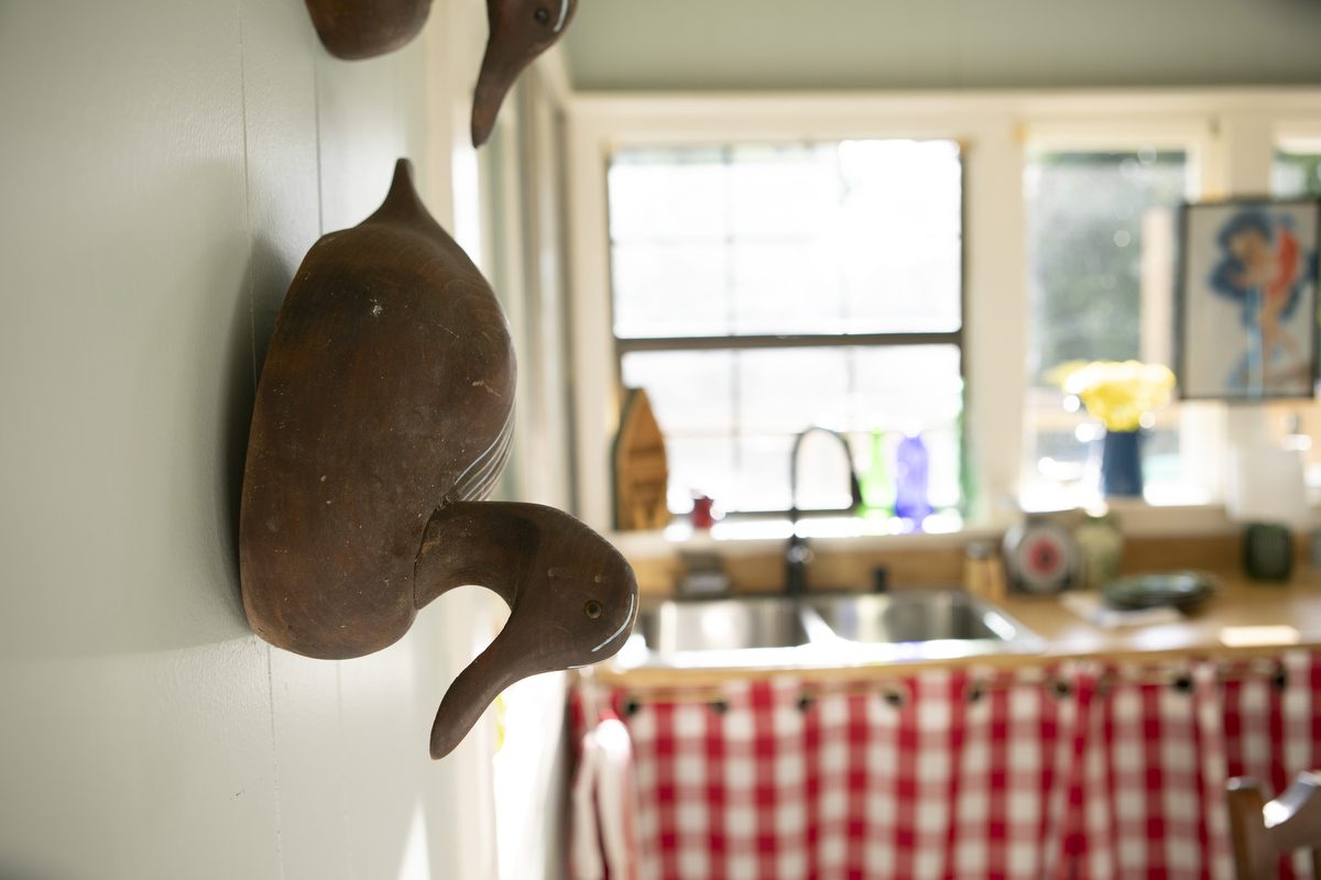 A picture of a wood duck on a wall.